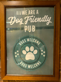 HP, Dog  pub friendly