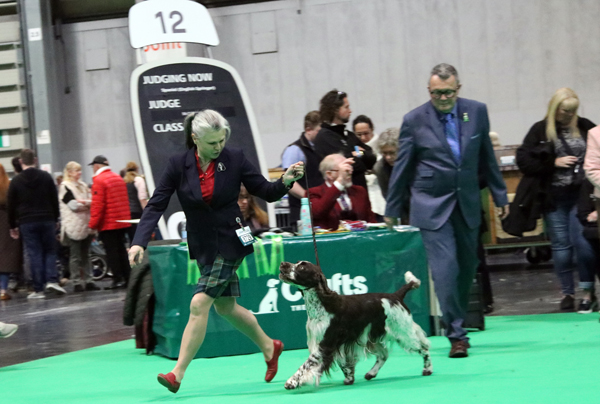 HP, Islay on the move Crufts march 24