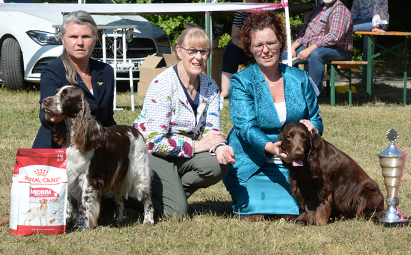 HP, Mnk res Best in Show
