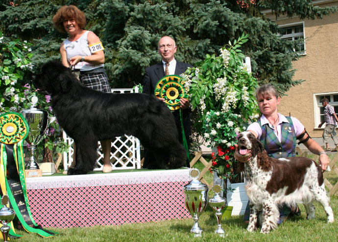 Res Best in Show